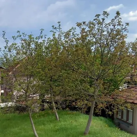 Gasthof D'argento Sobe